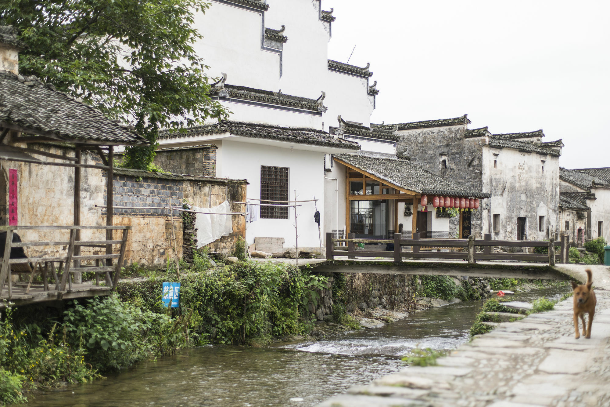 Banyan Tree Hotel Huangshan-The Ancient Charm Of Huizhou, A Paradise Exterior foto